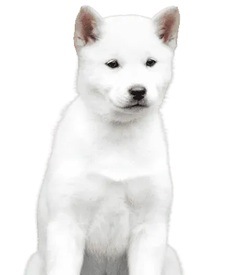 Hokkaido