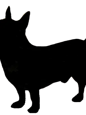Lancashire Heeler