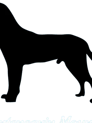 Montenegrinischer Gebirgslaufhund